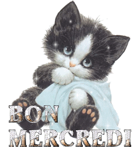 Gif animé Bon mercredi chat